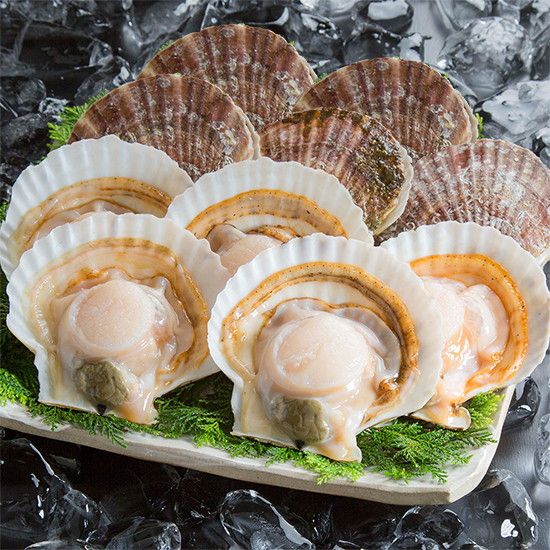 ＜日高見市場＞宮城県産 冷凍・生食用 殻付き帆立 20個