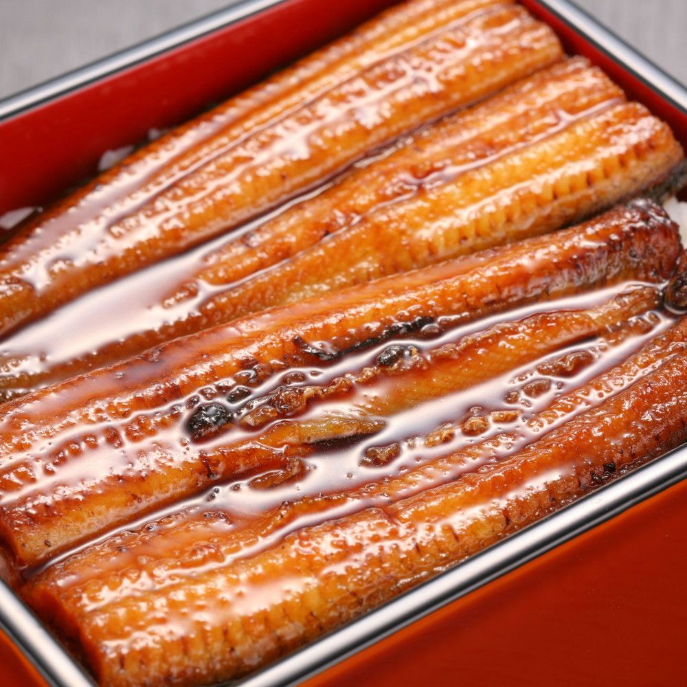 浜松・浜名湖うなぎ蒲焼 2人前（110g×2枚）